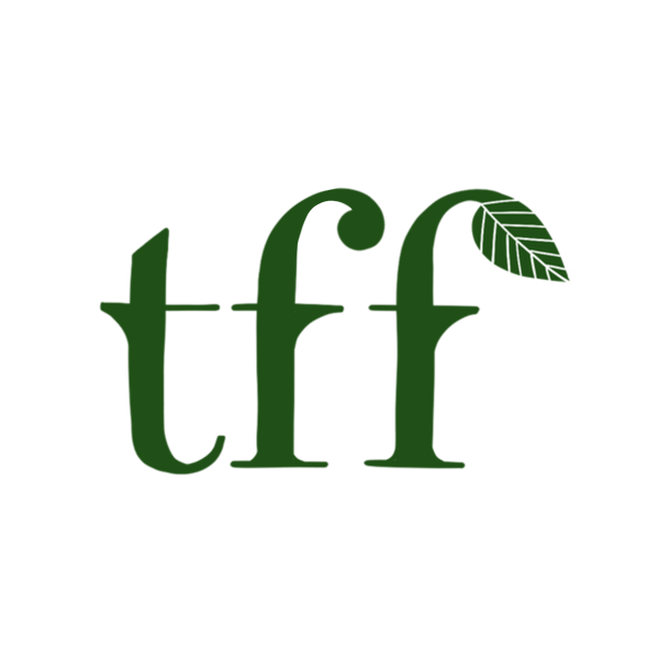 The Forbidden Forest India